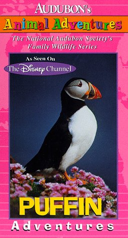 Beispielbild fr Audubons Animal Adventures: Puffin [VHS] zum Verkauf von JR Books