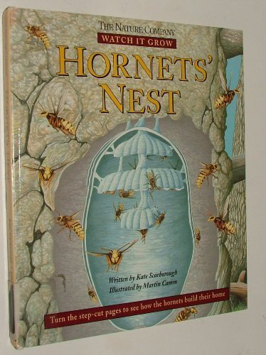 Stock image for Hornets' Nest (Watch It Grow) for sale by Wonder Book