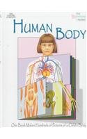 Stock image for The Human Body for sale by Better World Books