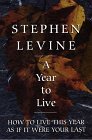 A Year to Live: How to Live This Year As If It Were Your Last (Thorndike Large Print Inspirational Series) (9780783883267) by Levine, Stephen