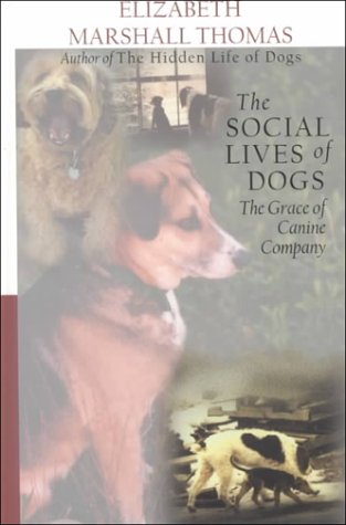 Imagen de archivo de The Social Lives of Dogs : The Grace of Canine Company a la venta por Better World Books