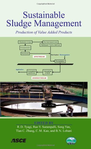 Imagen de archivo de Sustainable Sludge Management: Production of Value Added Products a la venta por dsmbooks