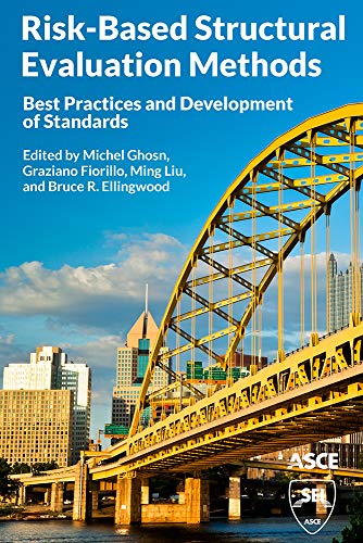 Stock image for Risk-Based Structural Evaluation Methods: Best Practices and Development of Standards for sale by THE SAINT BOOKSTORE