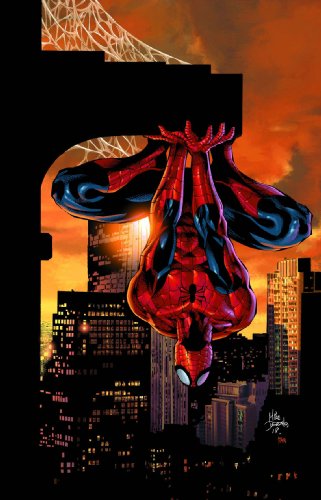 Imagen de archivo de Spider-Man: Family Ties a la venta por Crotchety Rancher's Books
