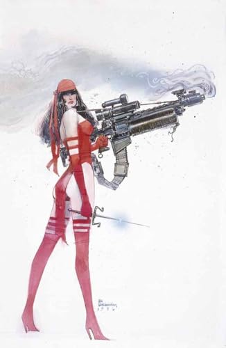 Elektra: Assassin