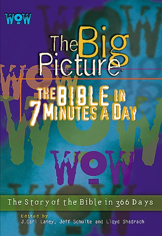 Stock image for WOW: The Big Picture - The Bible in 7 Minutes a Day for sale by SecondSale