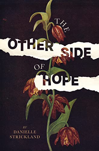 Stock image for The Other Side of Hope: Flipping the Script on Cynicism and Despair and Rediscovering our Humanity for sale by West.Street.Books
