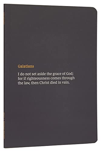 Stock image for NKJV Bible Journal - Galatians, Paperback, Comfort Print: Holy Bible, New King James Version for sale by ZBK Books