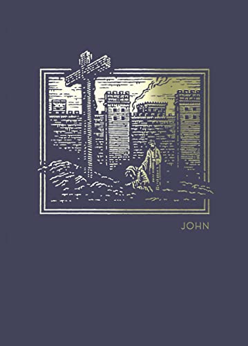 Stock image for NET Abide Bible Journal - John, Paperback, Comfort Print: Holy Bible for sale by New Legacy Books
