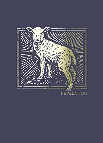 Stock image for NET Abide Bible Journal - Revelation, Paperback, Comfort Print: Holy Bible for sale by GF Books, Inc.
