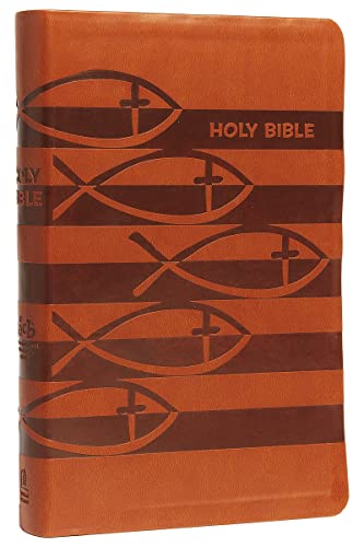 9780785238805: ICB, Holy Bible, Leathersoft, Brown: International Children's Bible