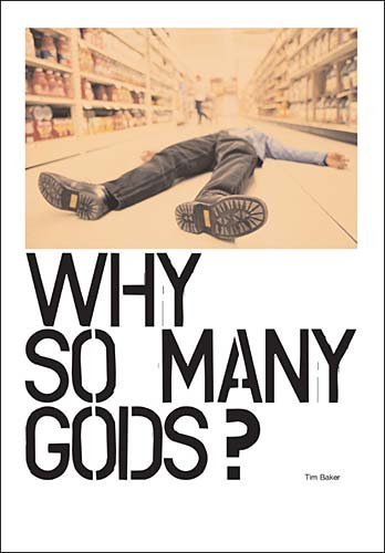 Imagen de archivo de Why So Many Gods? a la venta por ThriftBooks-Atlanta