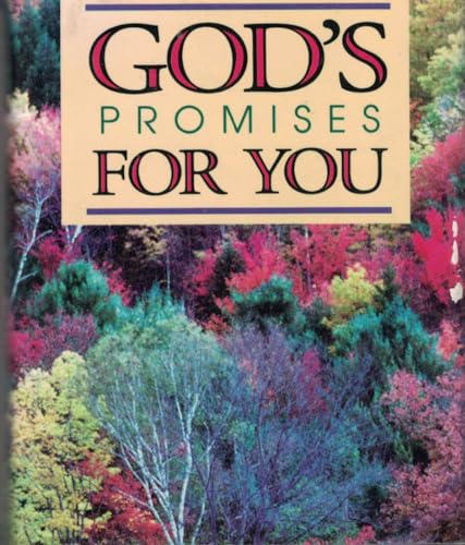 God's Promises for You (Not So Itty Bitty Books) (9780785281771) by Anonymous