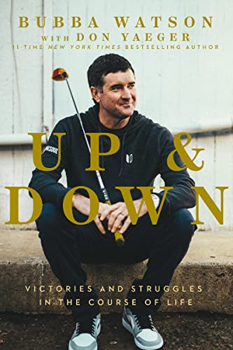 Stock image for Up and Down: Victories and Struggles in the Course of Life for sale by SecondSale