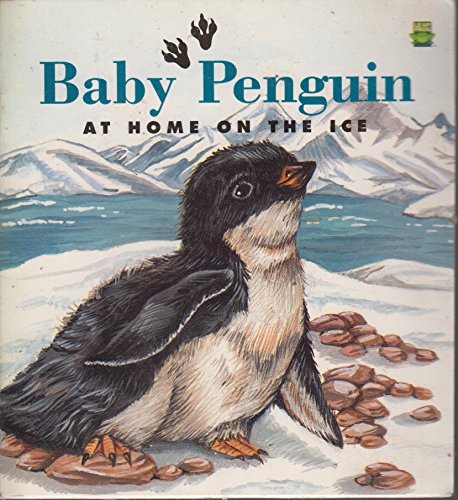 Baby Penguin - at home on the ice