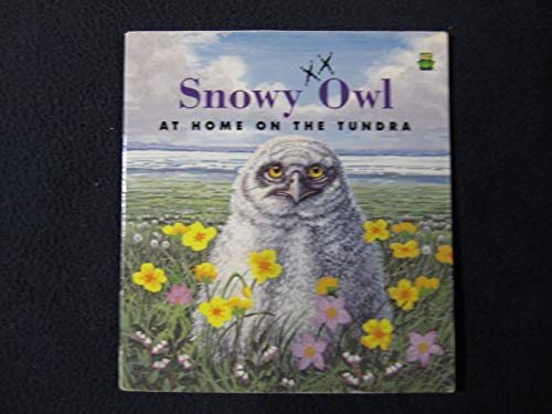 Imagen de archivo de Snowy Owl - at home on the tundra a la venta por Ed Buryn Books