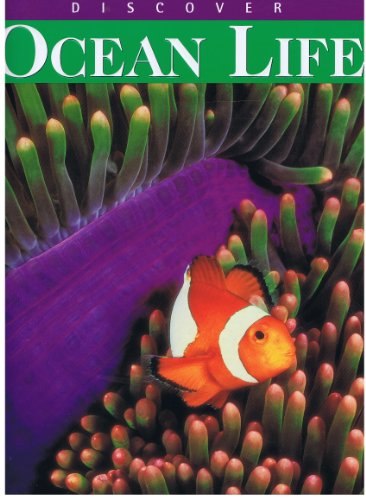 Stock image for Discover Ocean Life for sale by Wonder Book