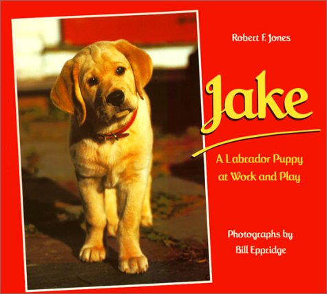 Jake (9780785757092) by Jones, Robert F.