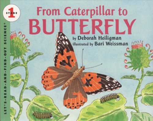 Stock image for From Caterpillar To Butterfly (Turtleback School and Library Bindin for sale by Hawking Books