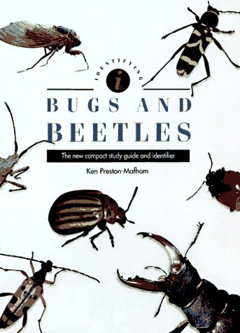 Stock image for Identifying Bugs and Beetles : The New Compact Study Guide and Identifier for sale by Wonder Book