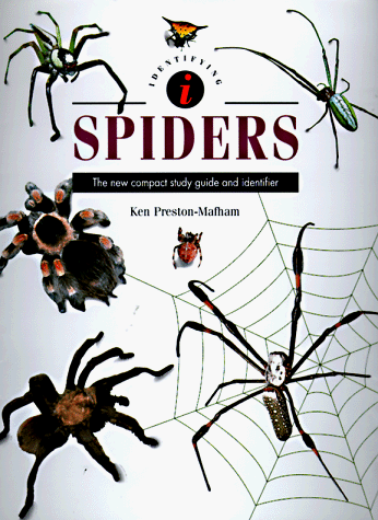Imagen de archivo de Identifying Spiders a la venta por Better World Books