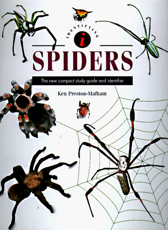 Stock image for Identifying Spiders for sale by Better World Books