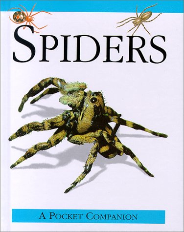 Beispielbild fr Spiders (Pocket Companion) zum Verkauf von Wonder Book