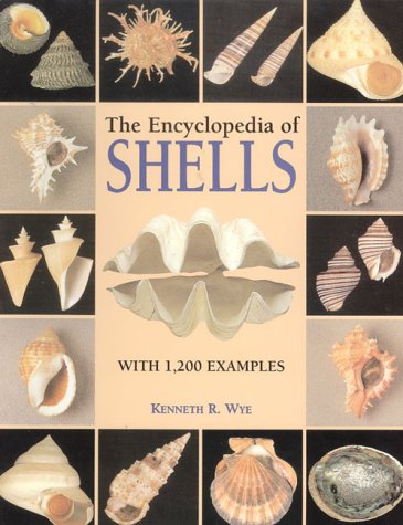 Beispielbild fr The Encyclopedia of Shells zum Verkauf von HPB-Red