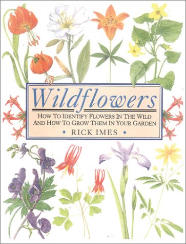 Stock image for Wildflowers: How to Identify Flowers in the Wild and How to Grow Them in Your Garden for sale by Once Upon A Time Books