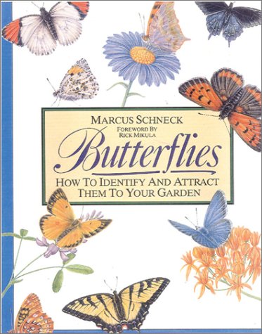 Beispielbild fr Butterflies: How to Identify and Attract Them to Your Garden zum Verkauf von Wonder Book