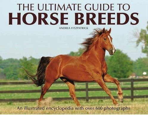 Stock image for The Ultimate Guide to Horse Breeds for sale by HPB-Red