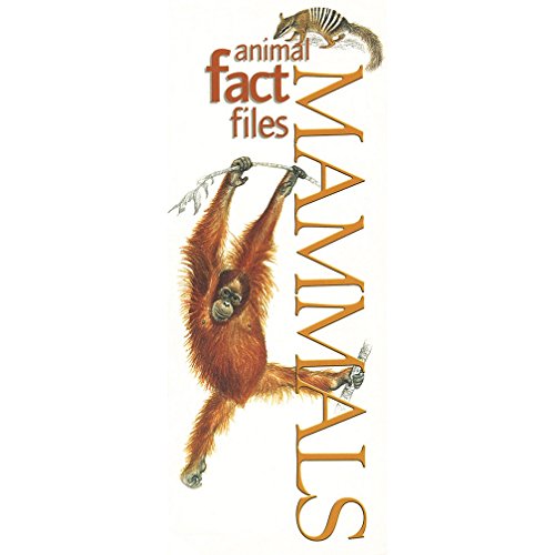 Beispielbild fr Animal Fact Files Mammals zum Verkauf von FOLCHATT