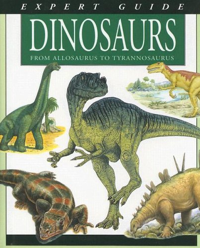 Stock image for Dinosaurs: From Allosaurus to Tyrannosaurus for sale by Hafa Adai Books