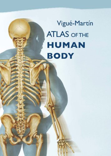 Stock image for Atlas of the Human Body for sale by The Book Cellar, LLC