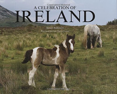 9780785822028: A Celebration of Ireland