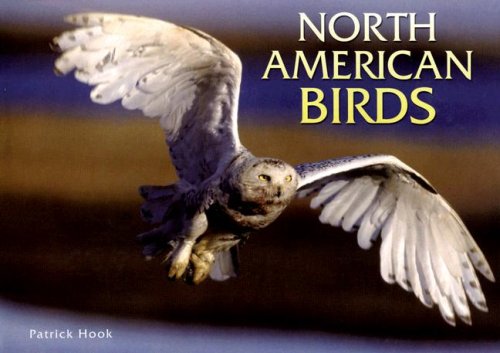 9780785822196: North American Birds