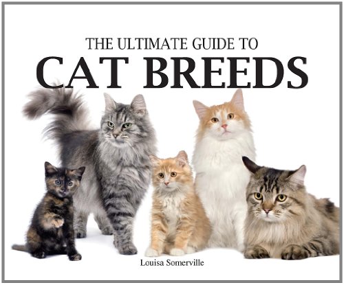 Beispielbild fr Ultimate Guide to Cat Breeds zum Verkauf von Better World Books