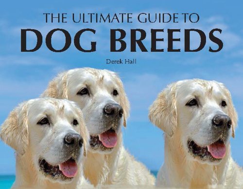 Beispielbild fr Ultimate Guide to Dog Breeds (Paperback Chunkies) zum Verkauf von Goodwill of Colorado