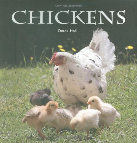 Beispielbild fr Chickens (Flexi cover series) zum Verkauf von Wonder Book