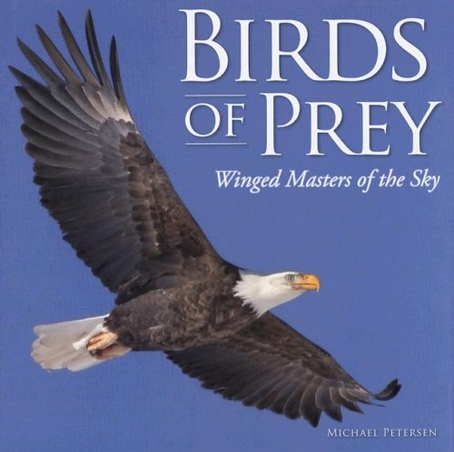 Stock image for Birds of Prey: Winged Masters of the Sky for sale by WorldofBooks
