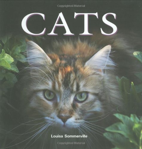 Stock image for Cats (Flexi cover series) for sale by Goodwill Books