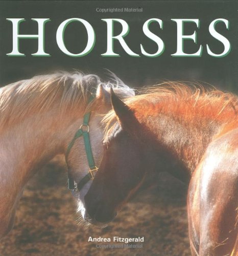 Imagen de archivo de Horses a la venta por RecicLibros