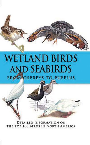 Imagen de archivo de Wetland Birds and Seabirds : From Ospreys to Puffins a la venta por Better World Books