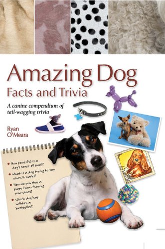 Beispielbild fr Amazing Dog Facts and Trivia (Amazing Facts & Trivia) zum Verkauf von Wonder Book