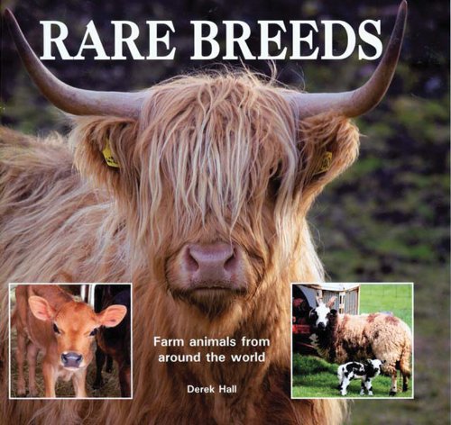 Stock image for Rare Breeds: Farm Animals from Around the World for sale by Hippo Books