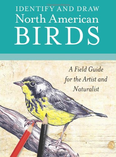 9780785827993: Identify and Draw North American Birds: A Field Guide for the Artist and Naturalist