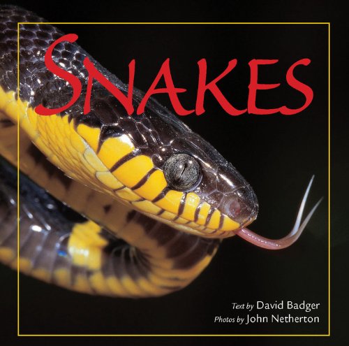 Snakes (9780785828426) by Badger, David