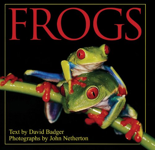 Stock image for Frogs for sale by ThriftBooks-Dallas