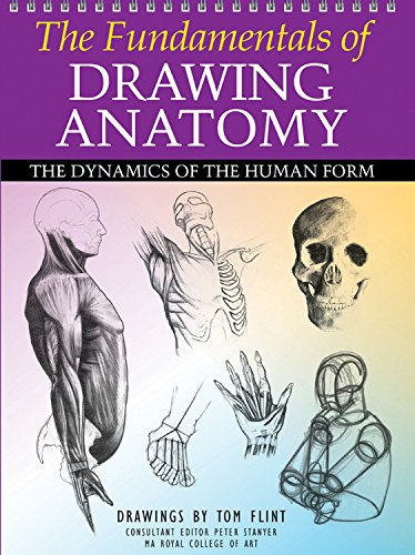 Imagen de archivo de The Fundamentals of Drawing Anatomy: The Dynamics of the Human Form a la venta por HPB-Ruby