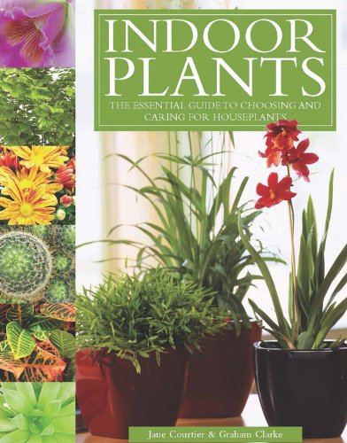 Beispielbild fr Indoor Plants: The Essential Guide to Choosing and Caring for Houseplants zum Verkauf von Goodwill